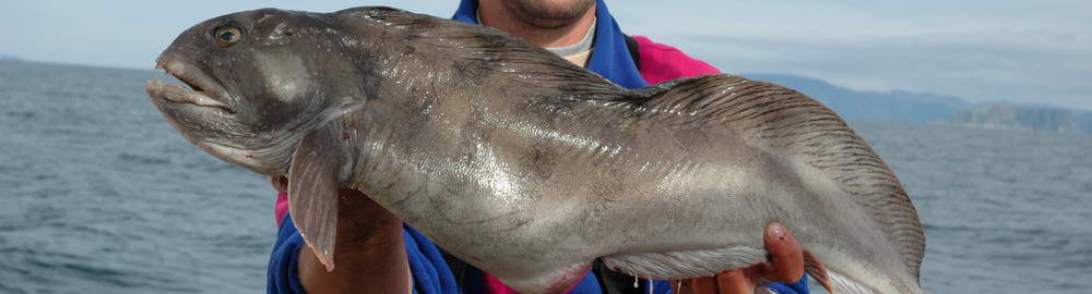 Používání rybářských lodí v Norsku - zahl-292.jpg