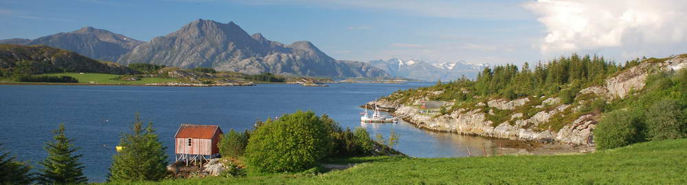 Druhy ryb lovených v Norsku - zahl-303.jpg
