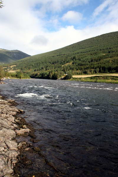 lososí řeka ve středním Norsku
