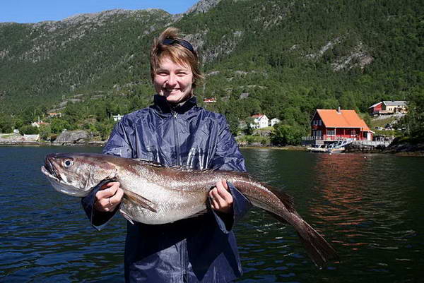 stikozubec 100 cm uloveny v Tingvollfjordu na hloubce cca 100 m